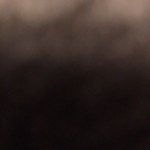 Meet your Posher, Tony